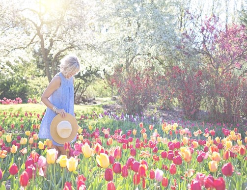 EVENTTIPPS IM FRÜHLING MIT DEM WOHNMOBIL